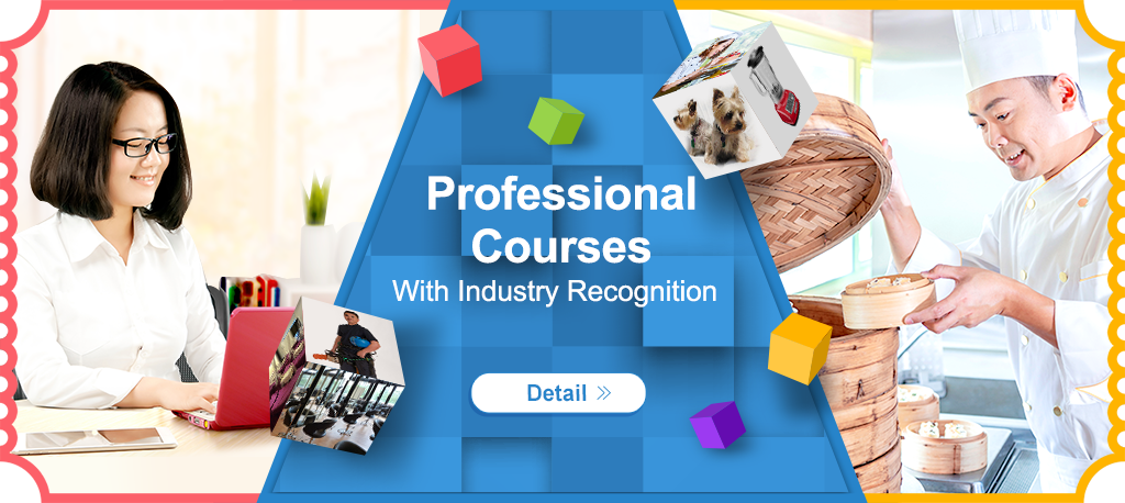 Professional Courses